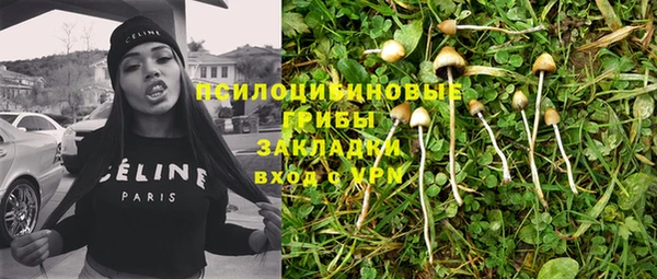 ПСИЛОЦИБИНОВЫЕ ГРИБЫ Навашино
