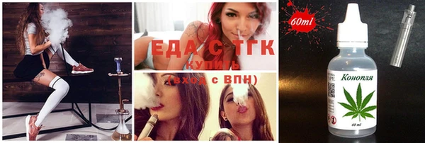 индика Надым