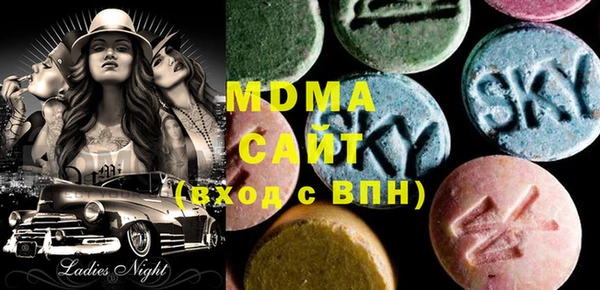 индика Надым
