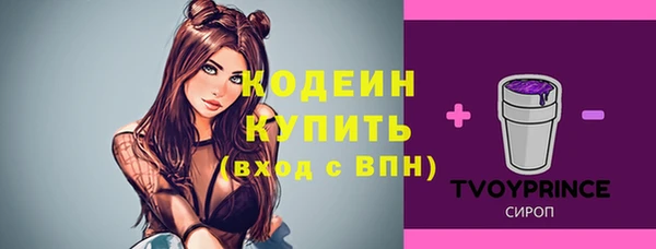 индика Надым