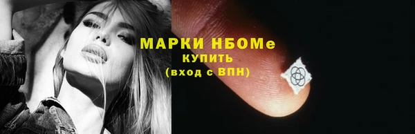 индика Надым