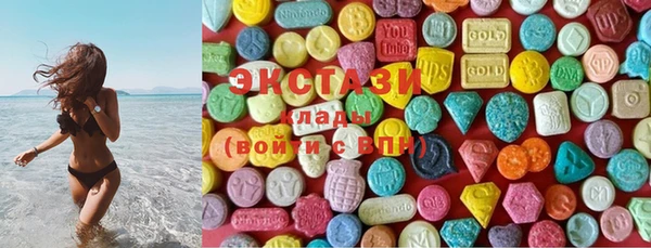 индика Надым