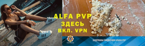 индика Надым