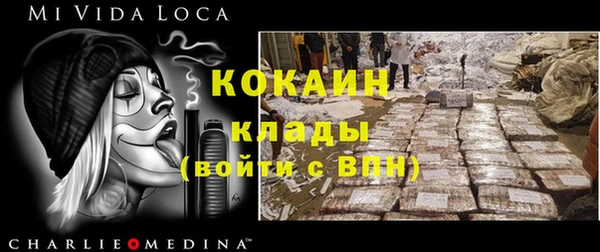 индика Надым