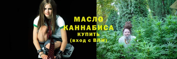 индика Надым