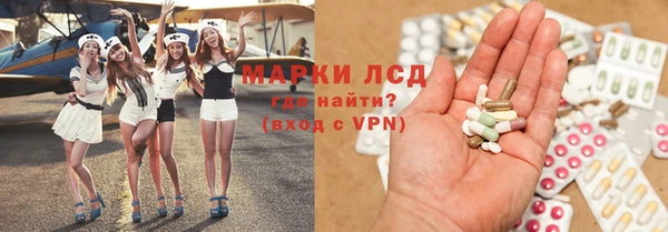 индика Надым