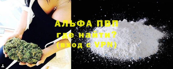 индика Надым