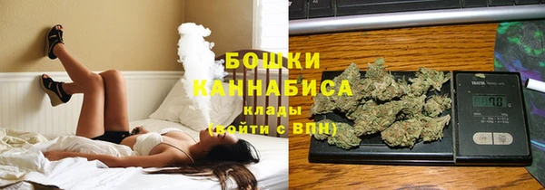 индика Надым