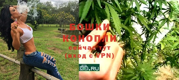 индика Надым
