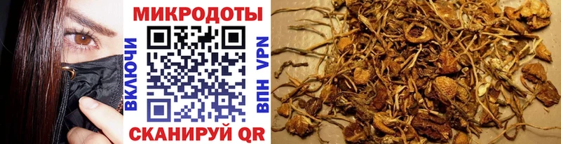 Галлюциногенные грибы Magic Shrooms  сайты даркнета телеграм  Таруса  где продают  